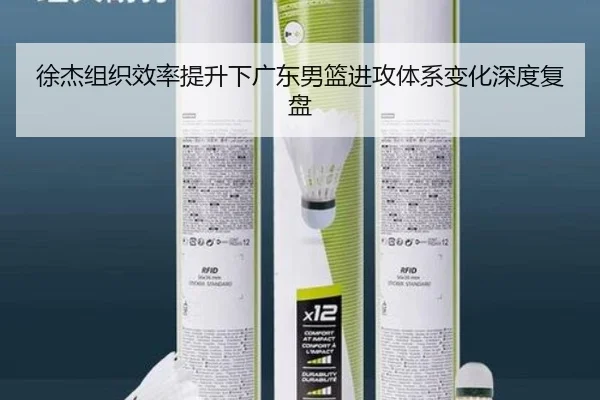 徐杰组织效率提升下广东男篮进攻体系变化深度复盘