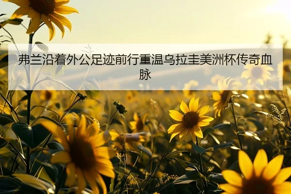 img_1787344932609_1697_0_816.jpg（kaiyun.comapp）